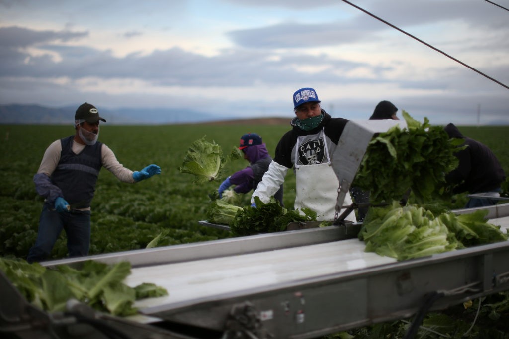 California Farmers Brace for Potential Impact of Trump's 2024